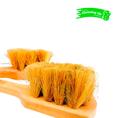 CEPILLO IXTLE PALETA GRANDE