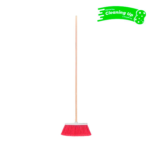 ESCOBA CEPILLO CHICO