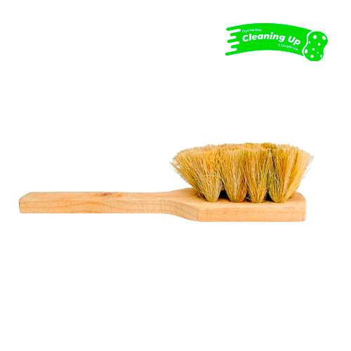 CEPILLO IXTLE PALETA CHICA