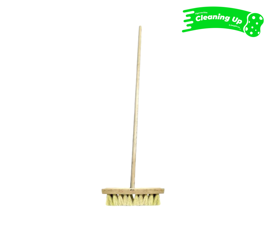 CEPILLO IXTLE CON BASTÓN