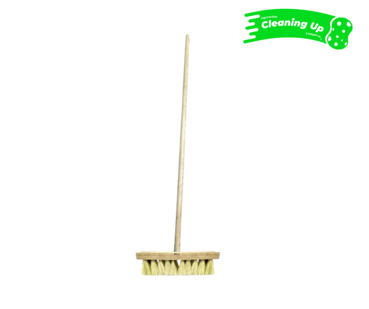 CEPILLO IXTLE CON BASTÓN